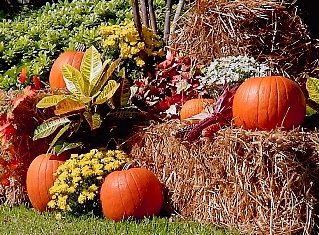 This beautiful photo epitomizing the harvest and harvest time celebrations ... synonymous with the month of October in many parts of the world ... was taken by US photographer Pam Roth.